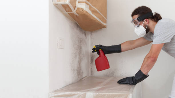 Professional Basement Mold Remediation technician working in Winterville, GA