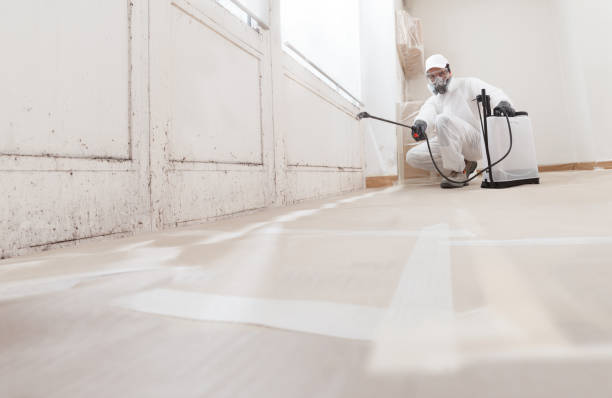 24/7 Emergency Basement Mold Remediation experts in Winterville, GA