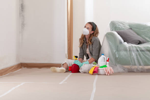 Reliable Basement Mold Remediation contractor in Winterville, GA by 24 Hour Mold Removal